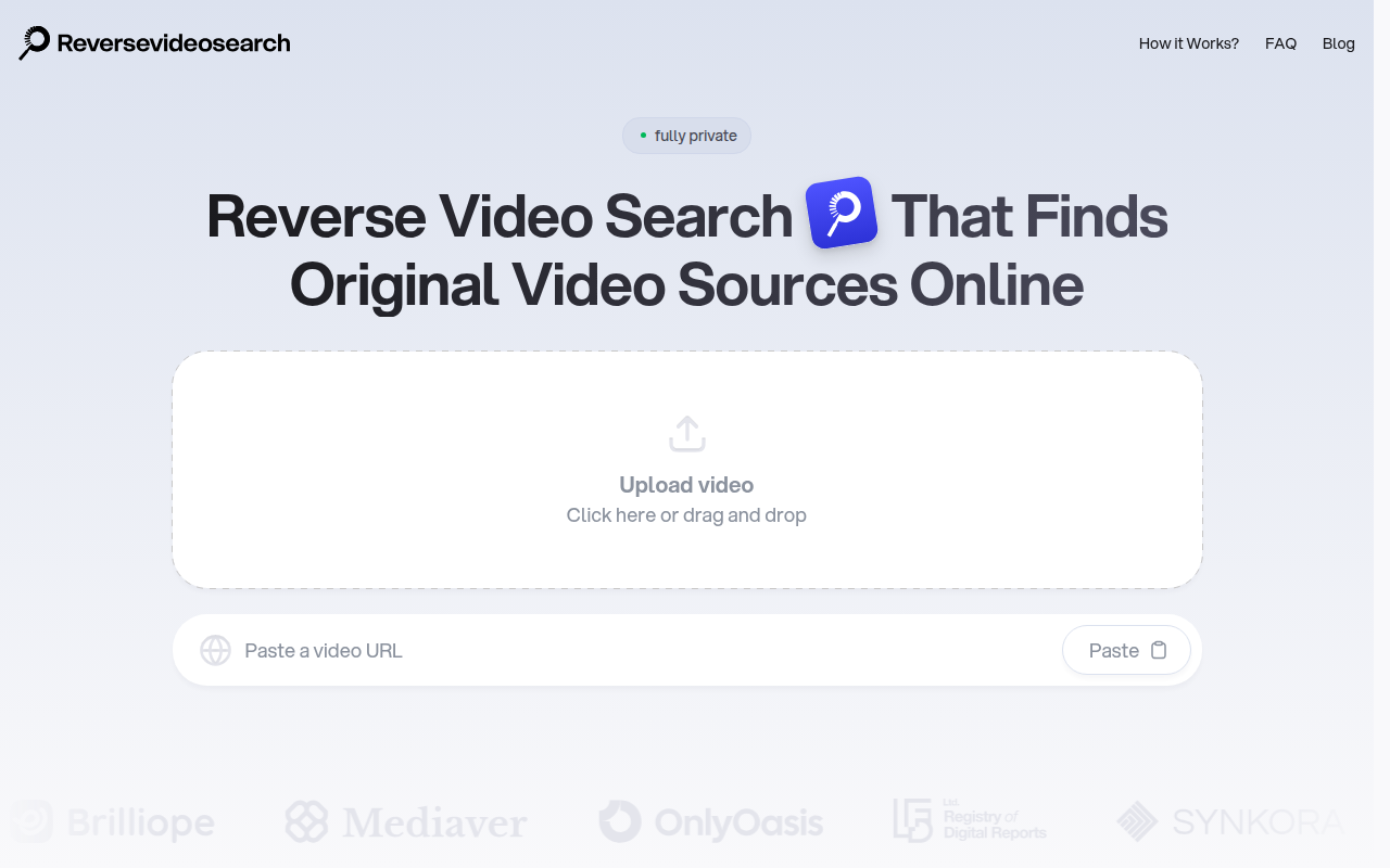 Screenshot of Reverse Video Search